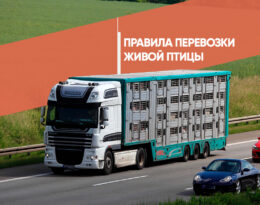 Правила перевозки живой птицы